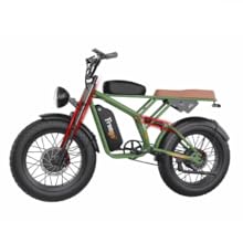 Freego Electric Bike for Adults, Dual Motor & Dual Battery, 2000W/48V/40Ah/55Ah, 20"x4.0" Fat Tires Off Road Electric Bicycle with Removable Battery, 34MPH&68/103 Miles Long Range E Bike UL Certified
