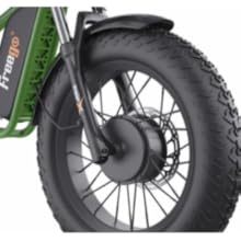 Freego Electric Bike for Adults, Dual Motor & Dual Battery, 2000W/48V/40Ah/55Ah, 20"x4.0" Fat Tires Off Road Electric Bicycle with Removable Battery, 34MPH&68/103 Miles Long Range E Bike UL Certified