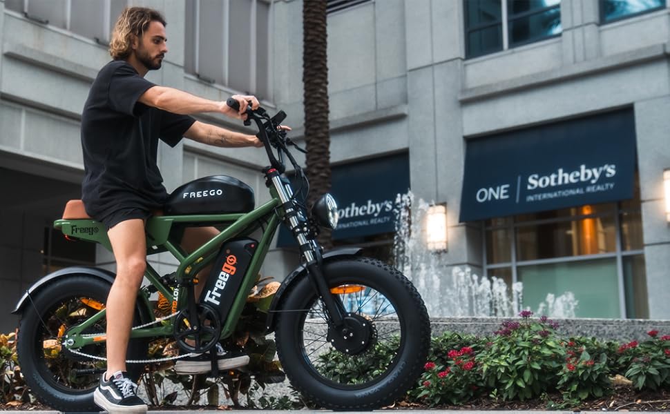 Freego Electric Bike for Adults, Dual Motor & Dual Battery, 2000W/48V/40Ah/55Ah, 20"x4.0" Fat Tires Off Road Electric Bicycle with Removable Battery, 34MPH&68/103 Miles Long Range E Bike UL Certified