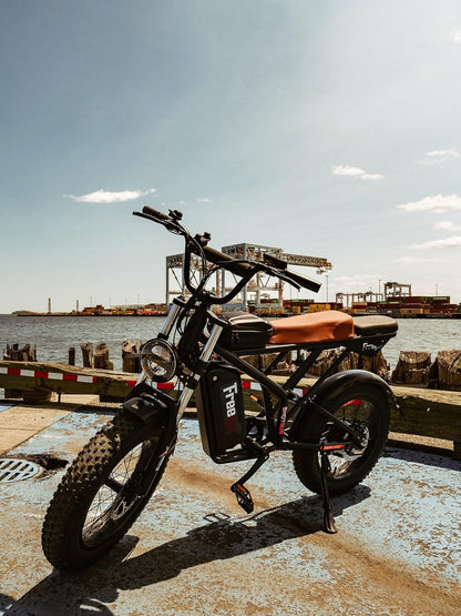Freego Electric Bike for Adults, 1400W/48V/22.5Ah, F2 Pro 20" x 4.0" Fat Tires Electric Bicycle Removable Battery, 34MPH & 43 Miles Long Range Ebike 7-Speed UL Certified